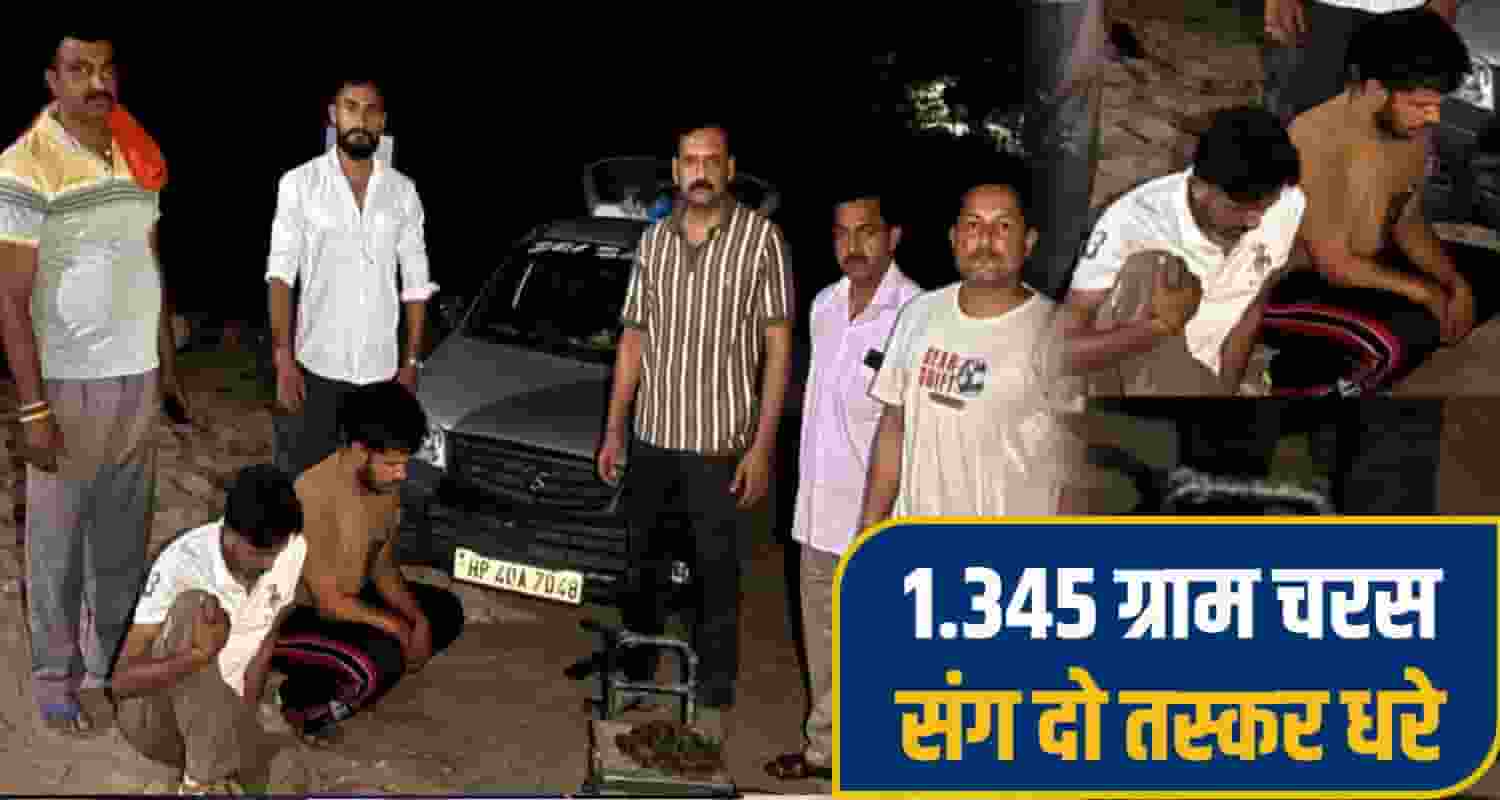 kangra charas News