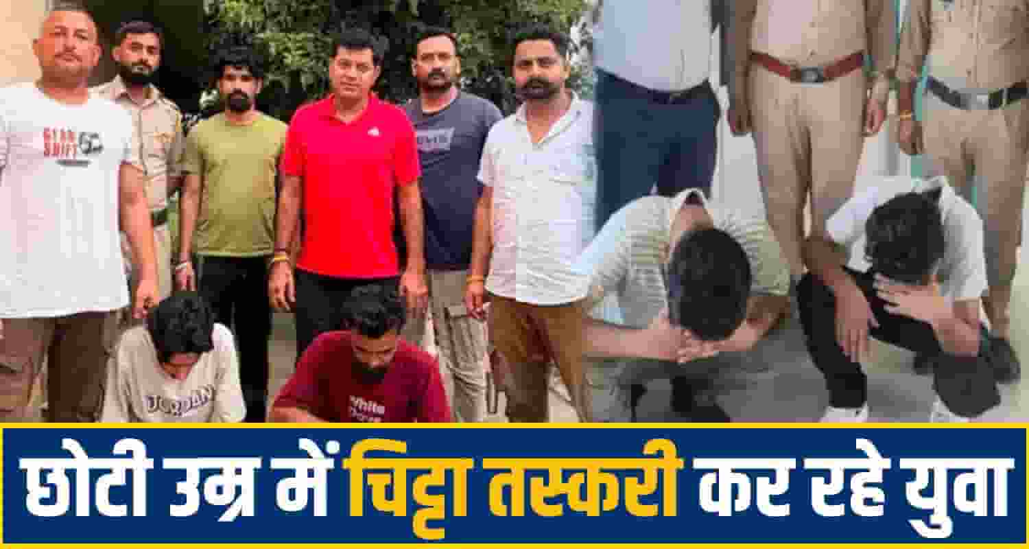 kangra chitta News