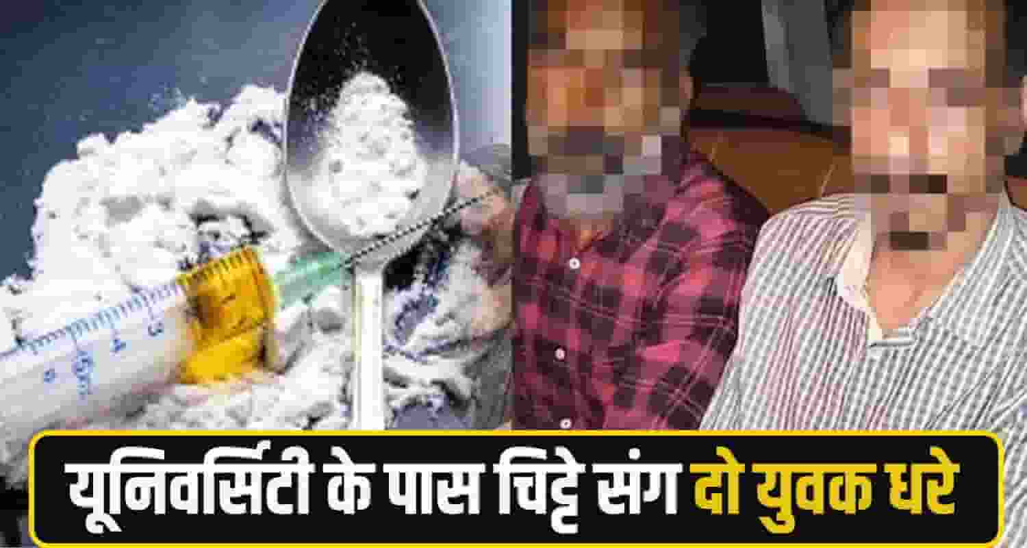 kangra chitta News