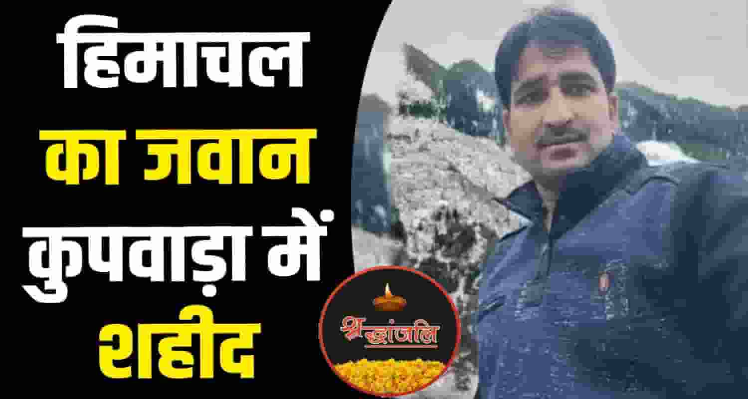 kangra jawan