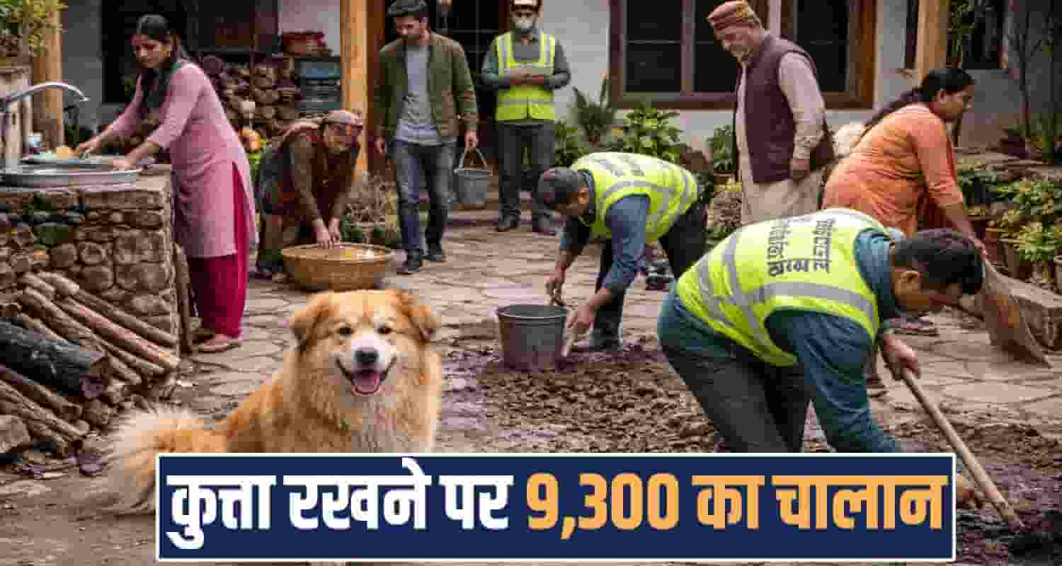 pet dog registration nagar nigam fine mandi himachal pradesh