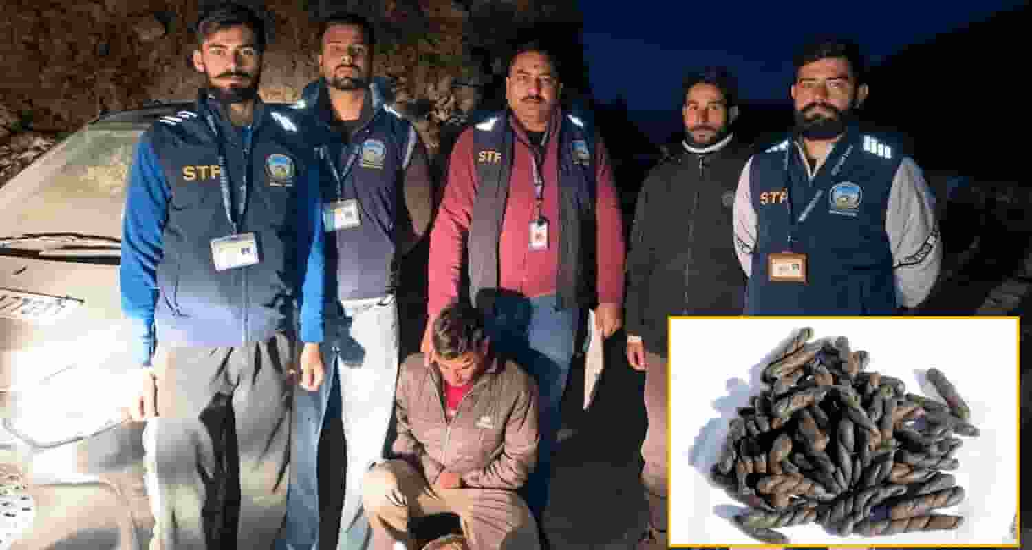 Himachal News