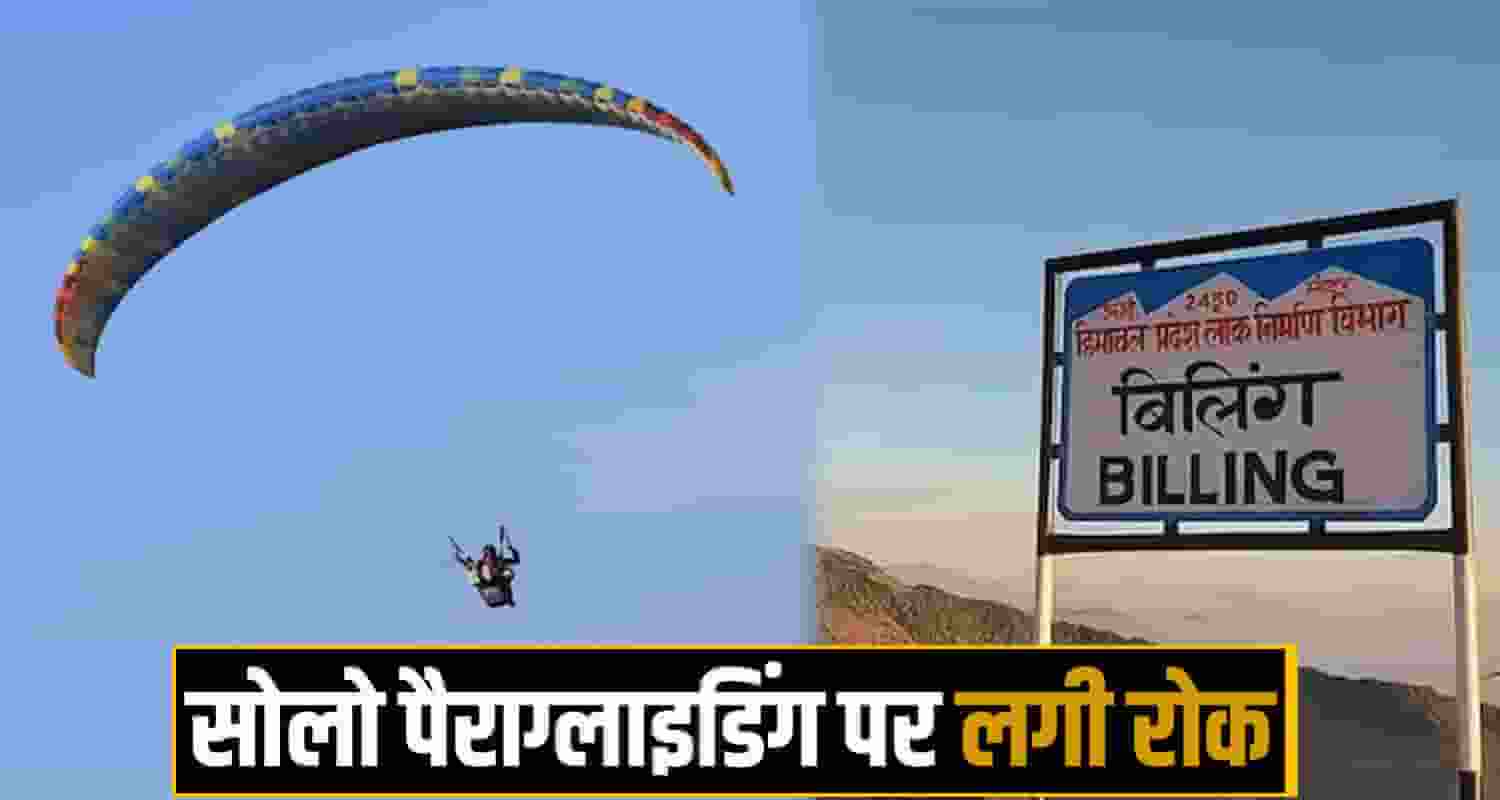 Paragliding news