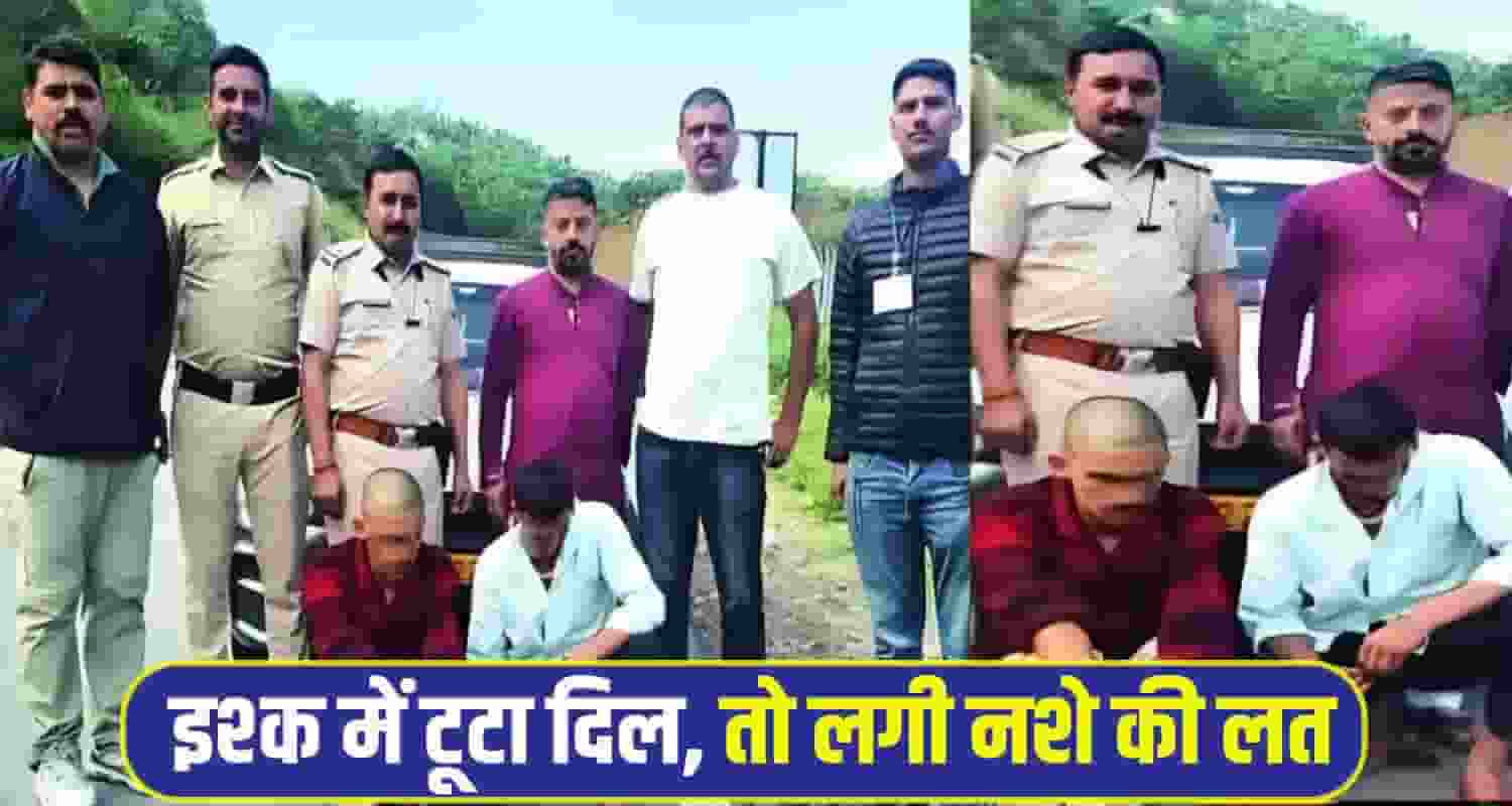 Mandi Chitta News