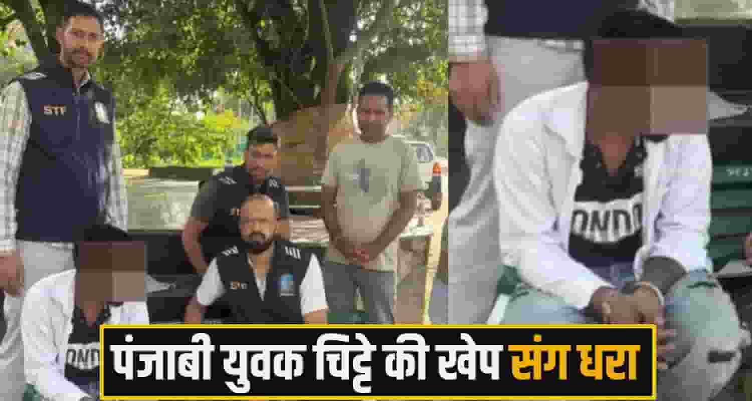 mandi chitta News