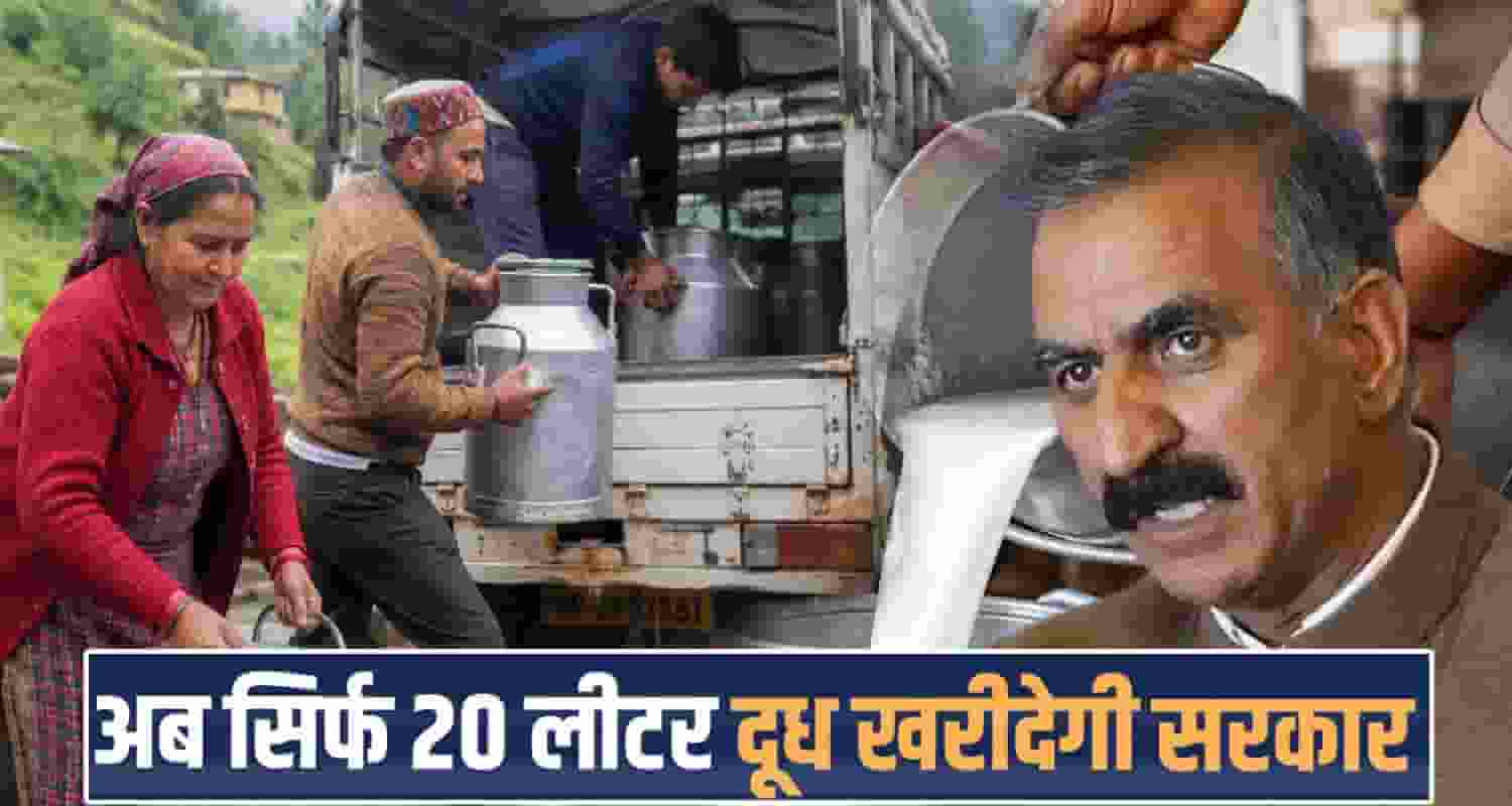 20 litres buffalo cow milk purchased sukhu government animal husbandry milkfed decision