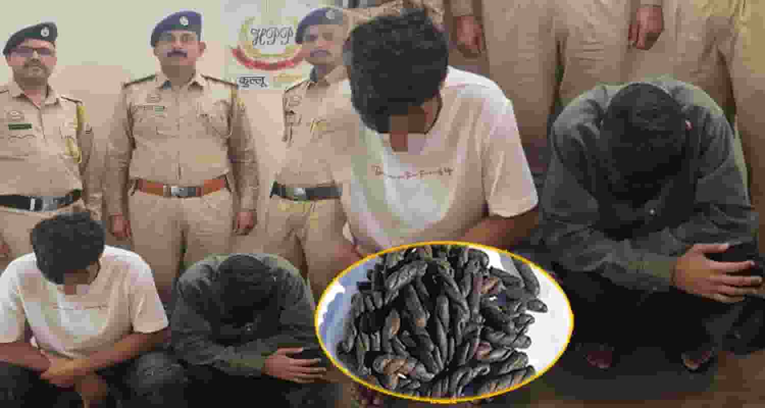 kullu police arrest two youths 202 grams charas cash manikaran valley