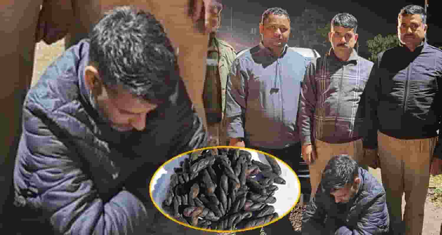 Chitta Smuggler man maruti car bilaspur road himachal police