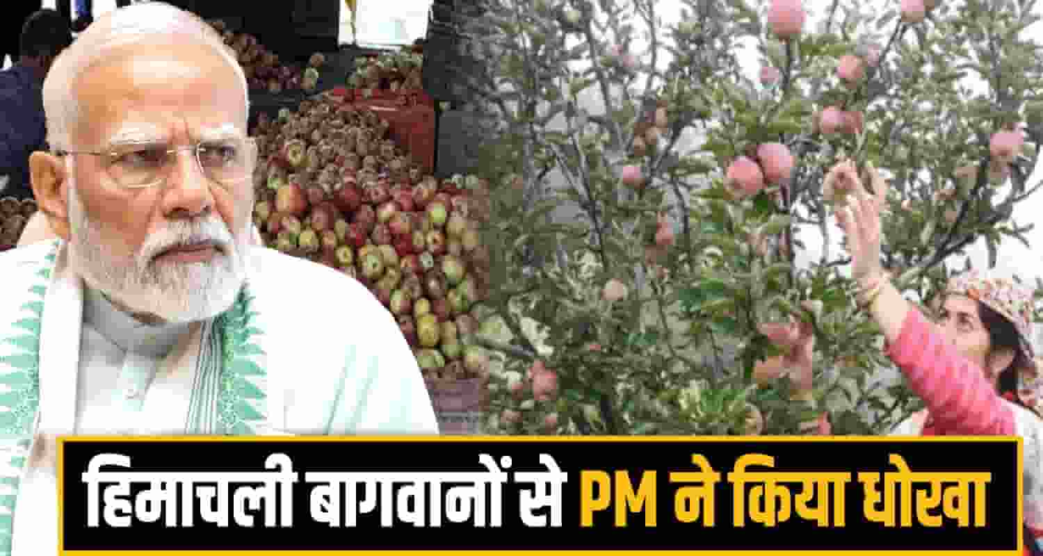 PM Modi Apple Gardner
