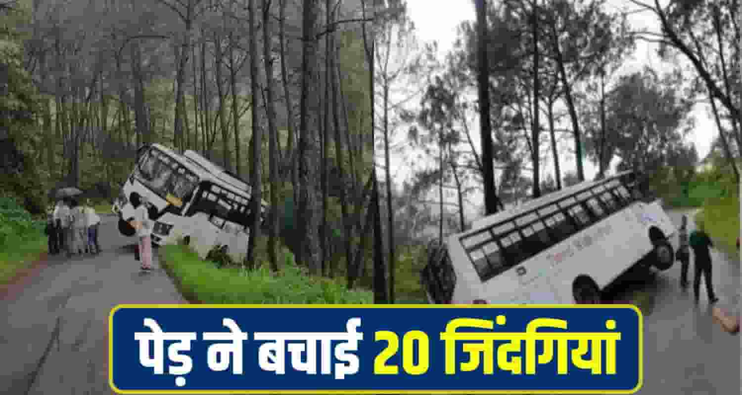 पेड़ ने बचाई 20 जिंदगियां