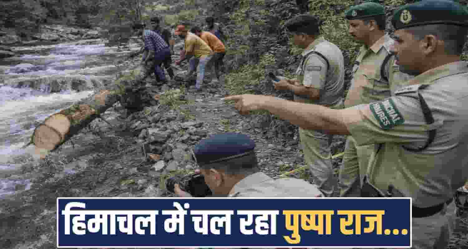 una forest department busted illegal khair tree man himachal Pradesh pushpa
