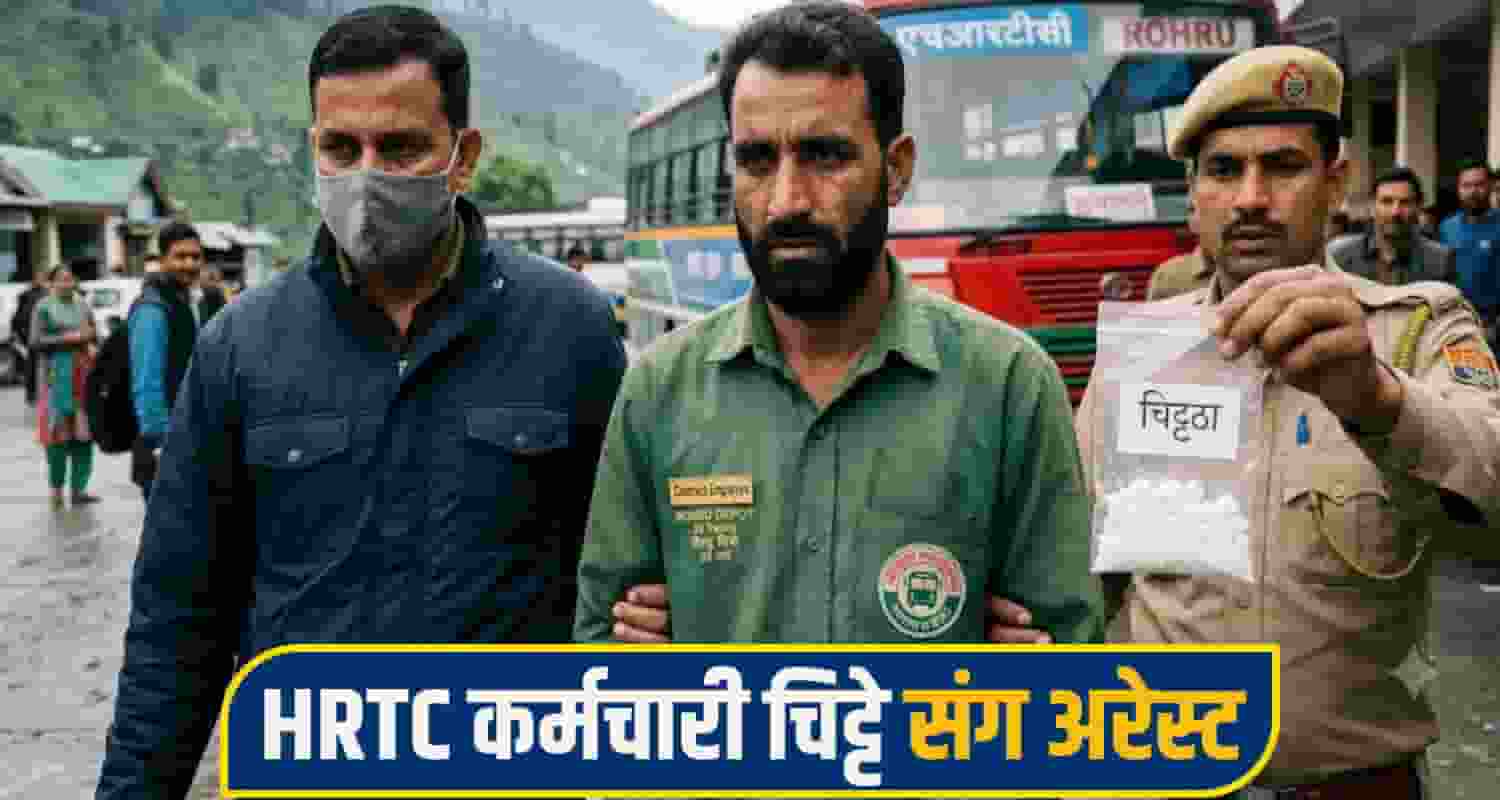rohru chitta News