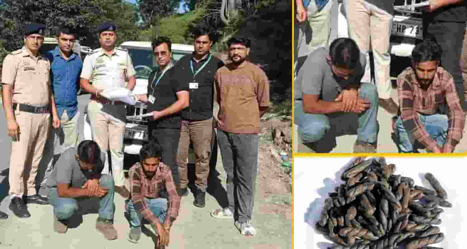 Himachal Drug Smuggling News