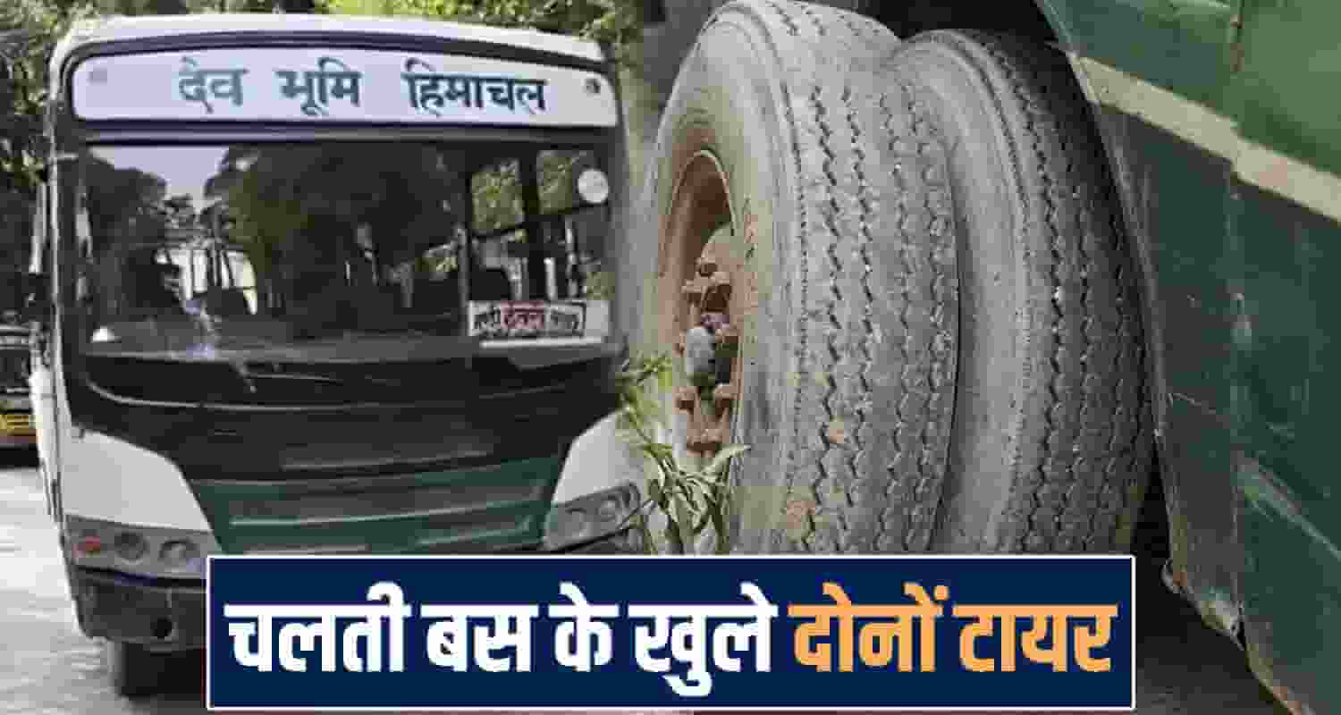 Mandi News
