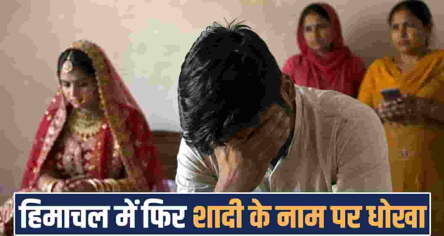 marriage fraud hamirpur punjab women himachal police
