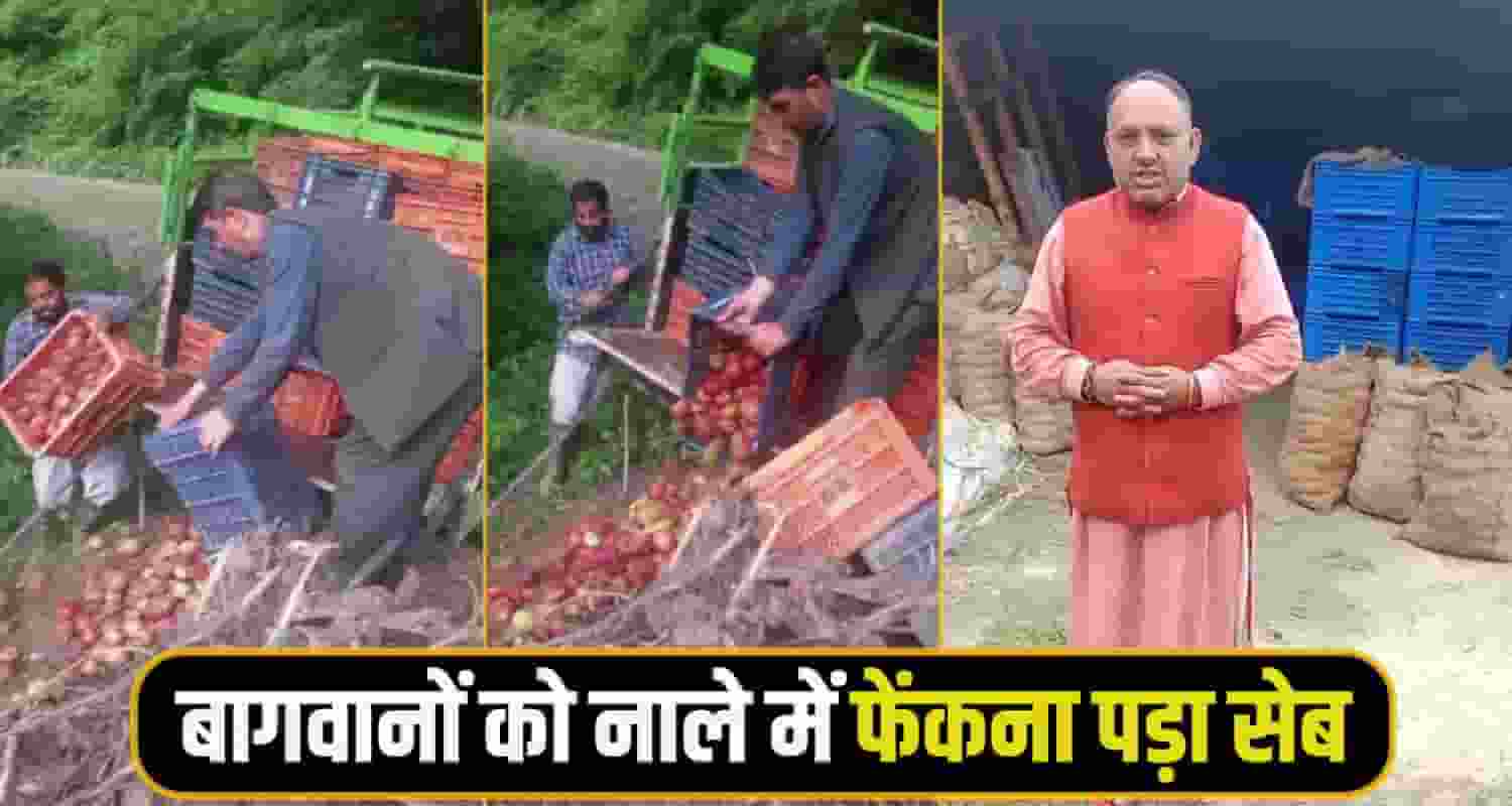 Shimla Apple News