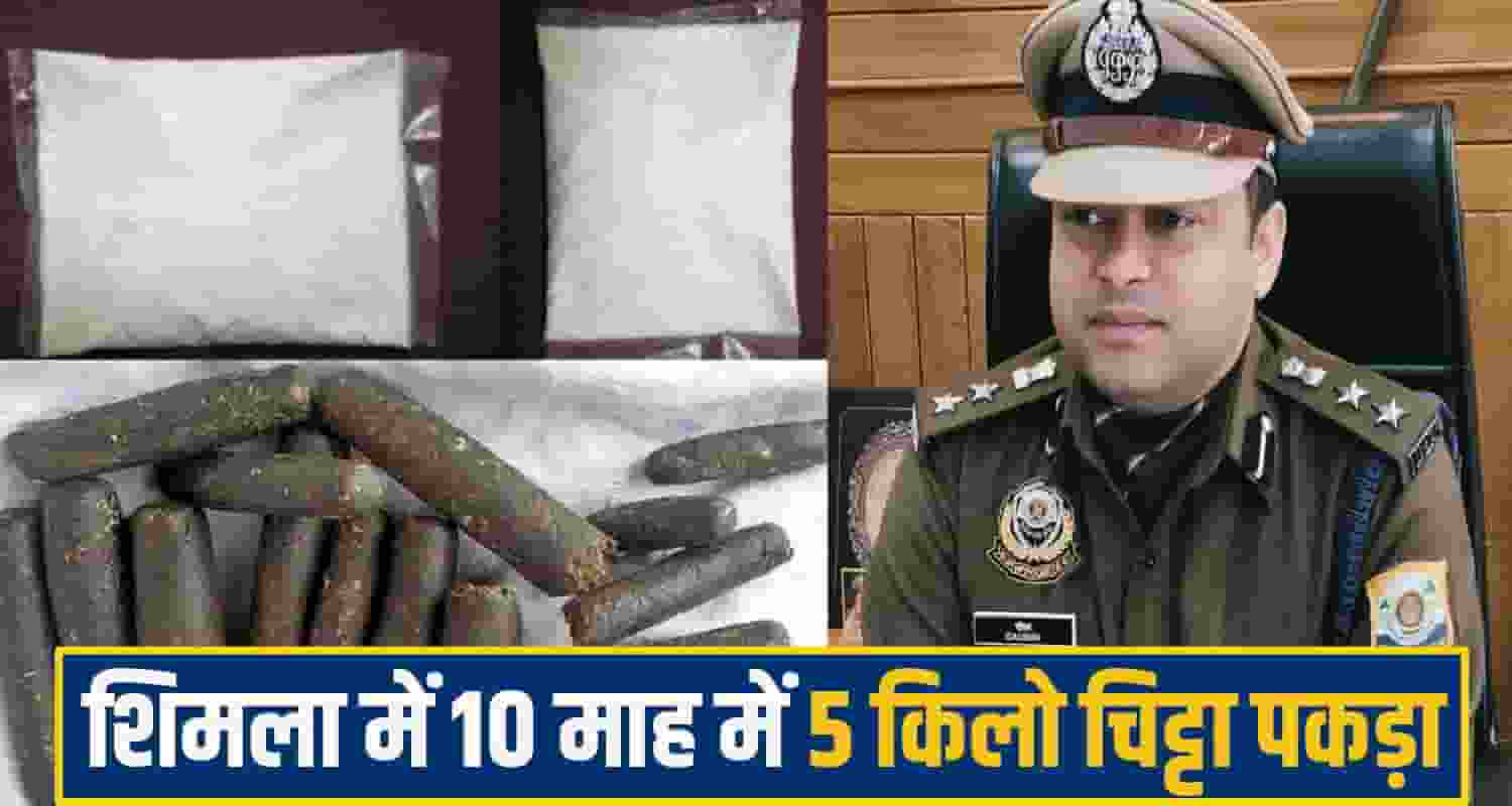 Shimla Chitta News