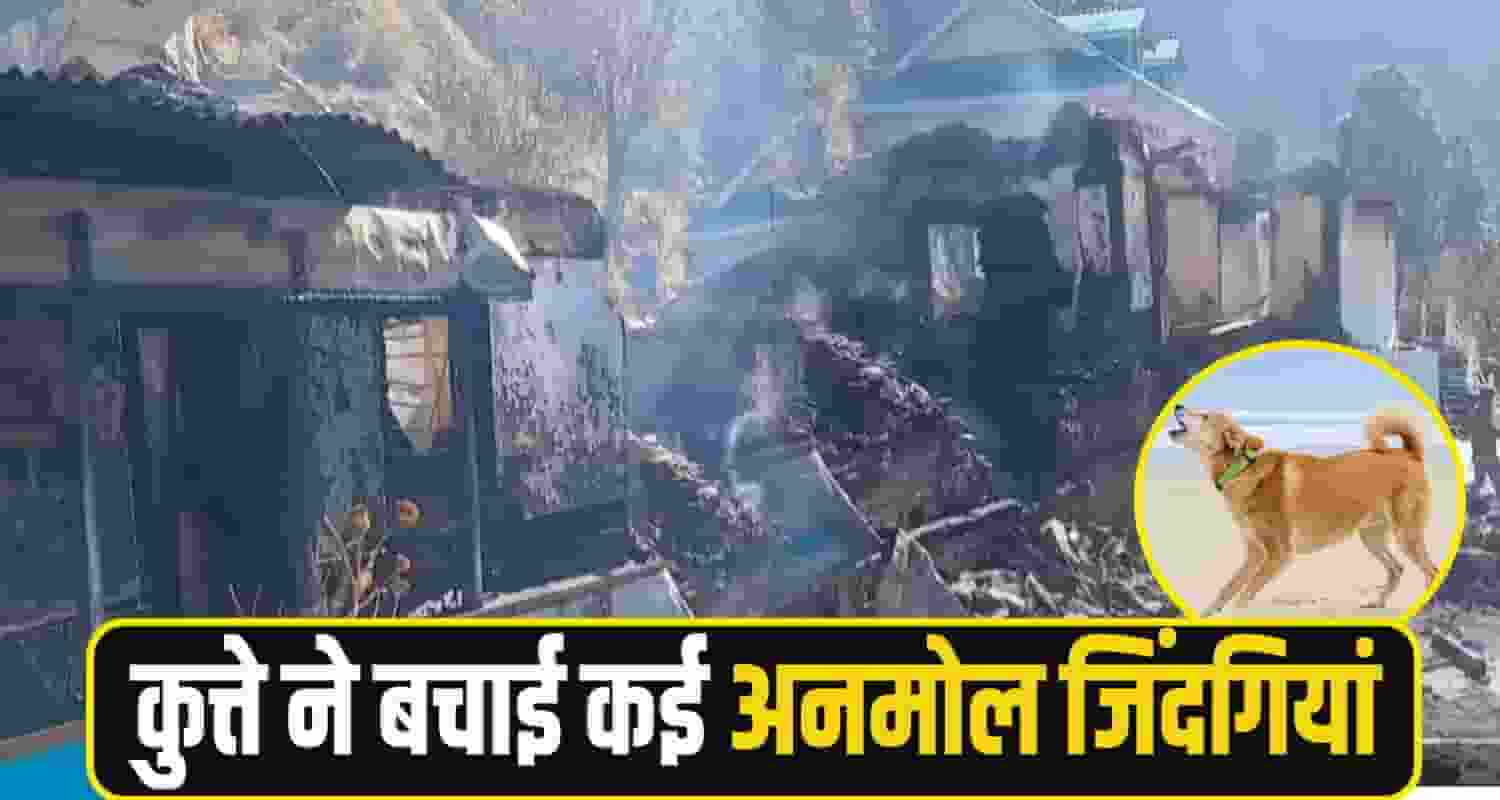 shimla fire incedent