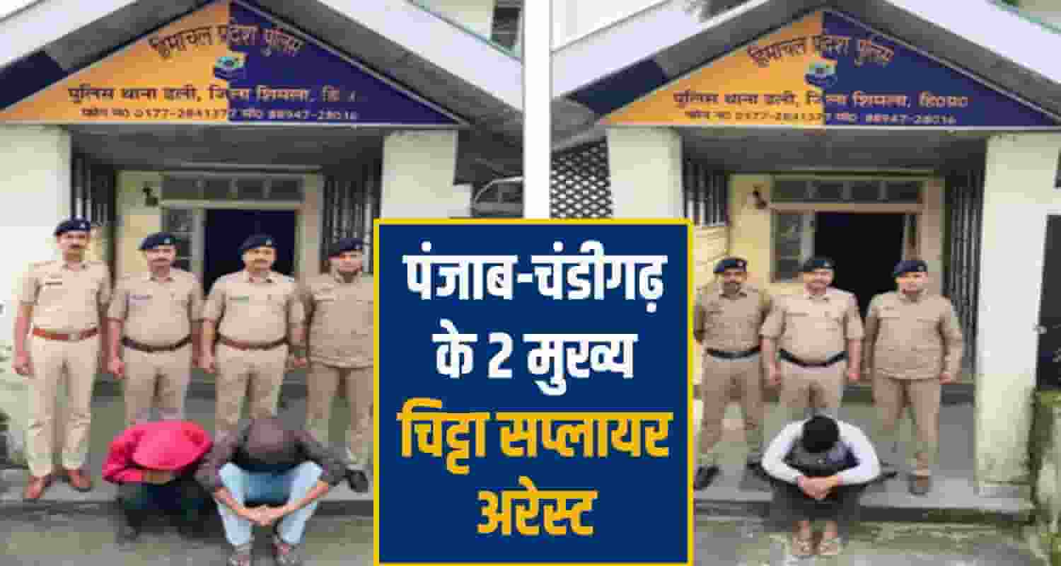 shimla police chitta