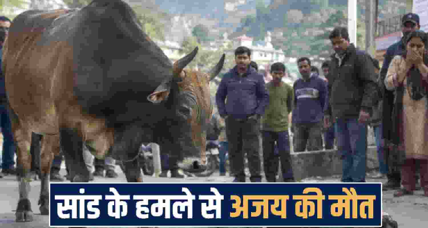 himachal kangra news