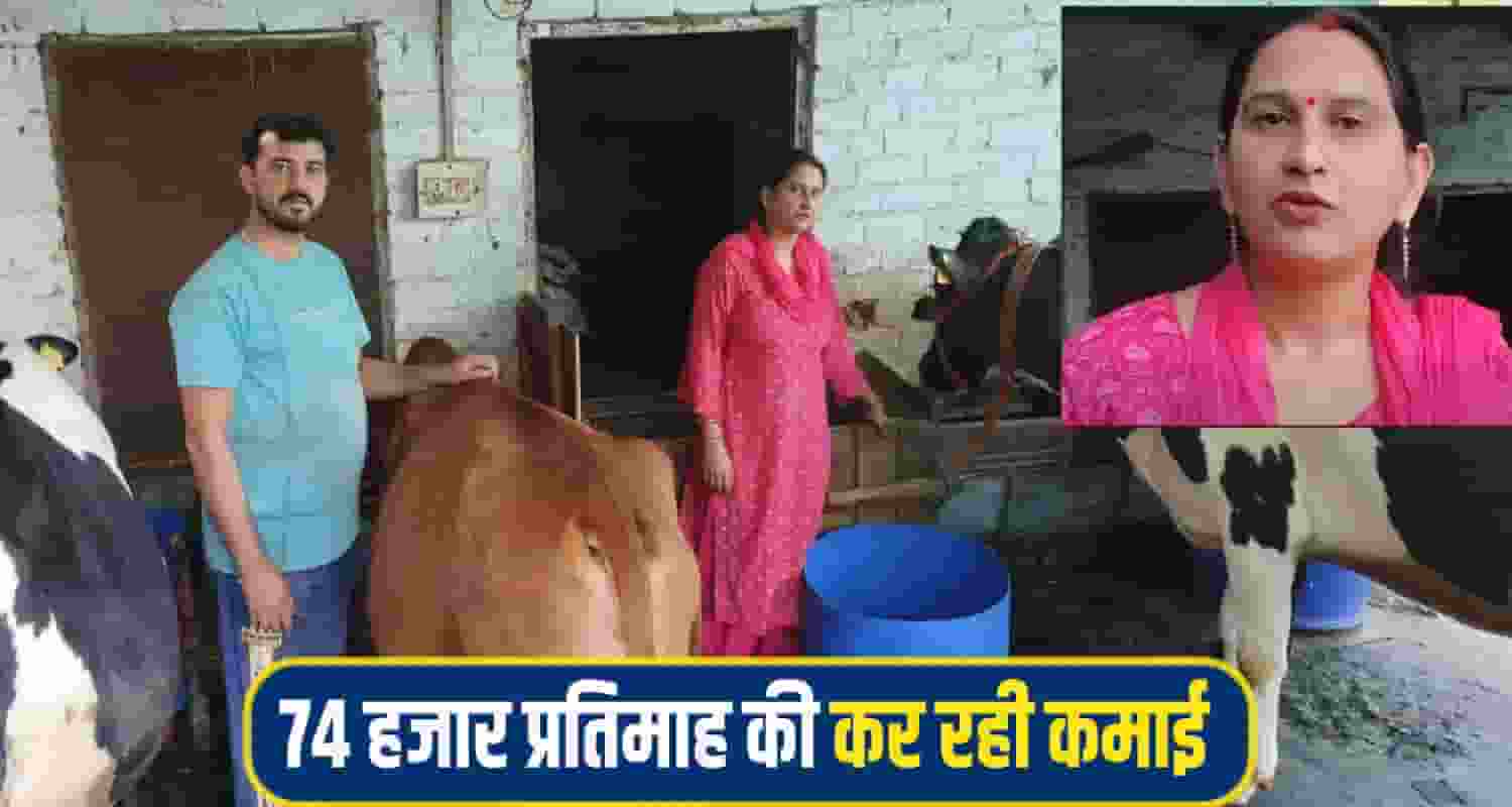 sonika dairy farming