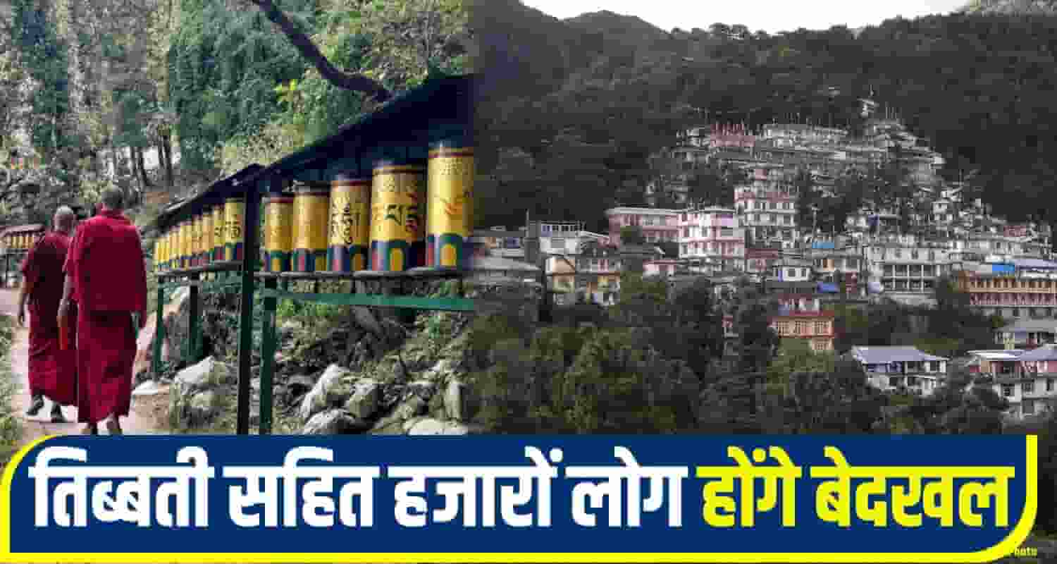 sukhu Govt Forest Land