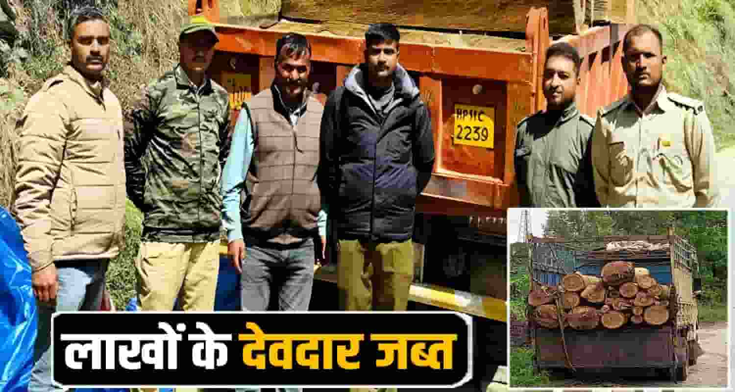 Mandi News