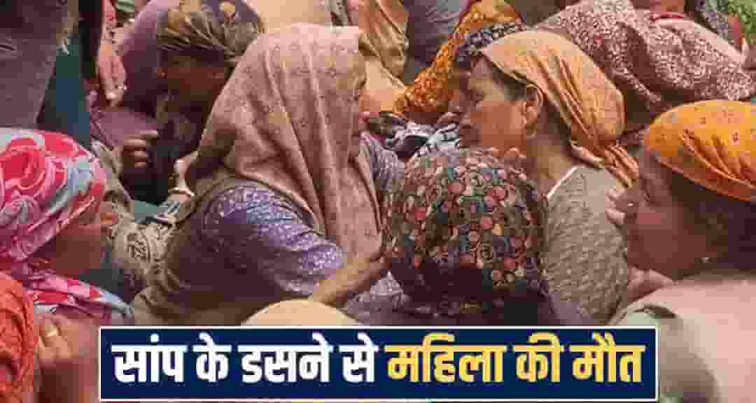 himachal news 