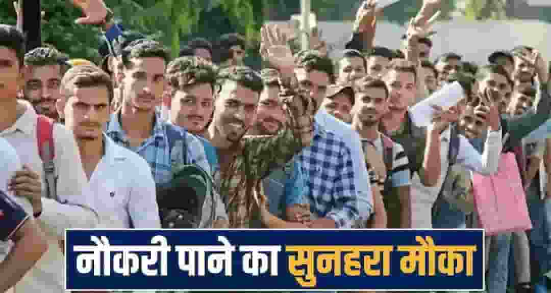 himachal job news 