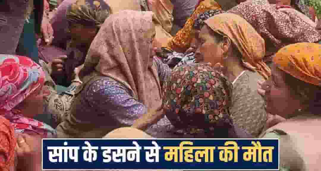 Himachal Pradesh news