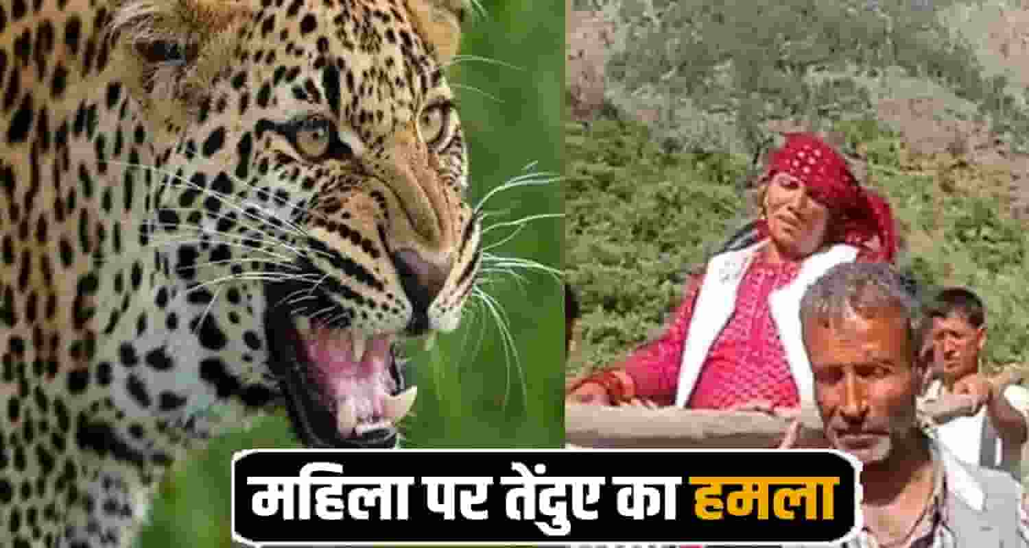 Mandi News