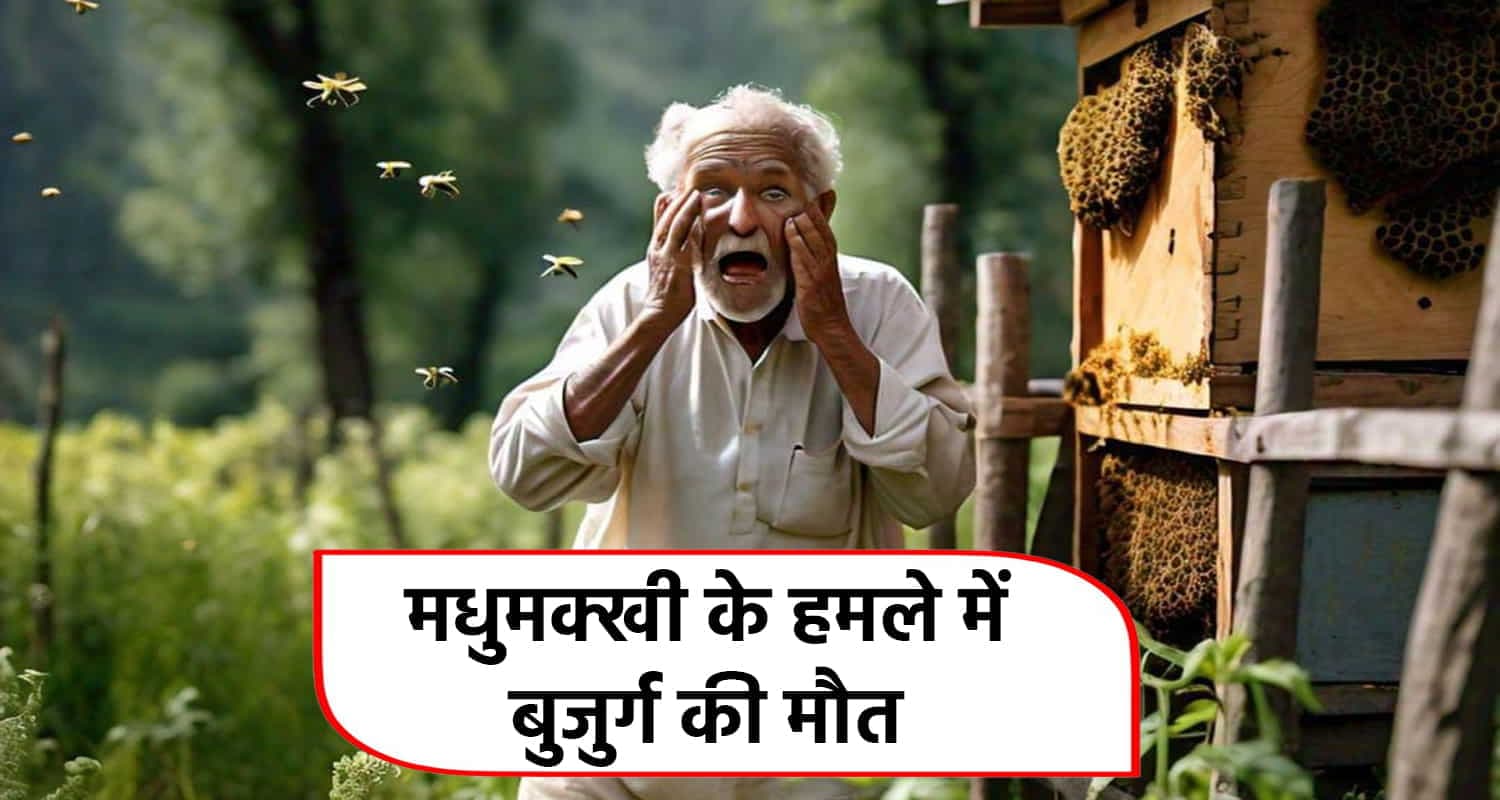 कांगड़ा में मधुमक्खियों के हमले में 70 वर्षीय बुजुर्ग की मौत, भेड़-बकरियां चराते समय हुआ हादसा Honeybees kangra old man dehra