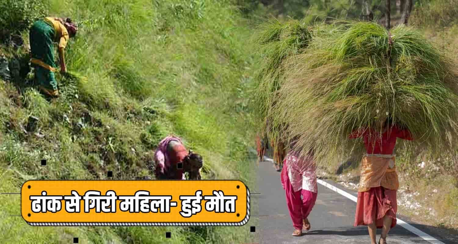 सिरमौर: घास लाने गई महिला की ढांक से गिरकर दर्दनाक मौत Himachal sirmour grass cutting women fallen