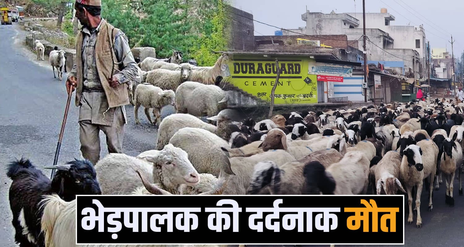 हिमाचल : घर की ओर जा रहे भेड़पालक पर दरकी पहाड़ी, पत्थरों की चपेट में आने से निकले प्राण Kangra News