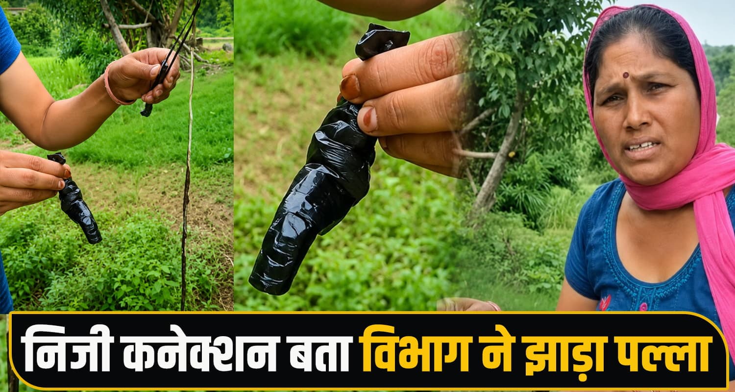 हिमाचल के घरों में पहुंच रहा गंदा पानी- पाइप से निकले सांप और मेंढक, एक हफ्ते से परिवार... snake frog found drinking water pipeline himachal una jal shakti department negligence