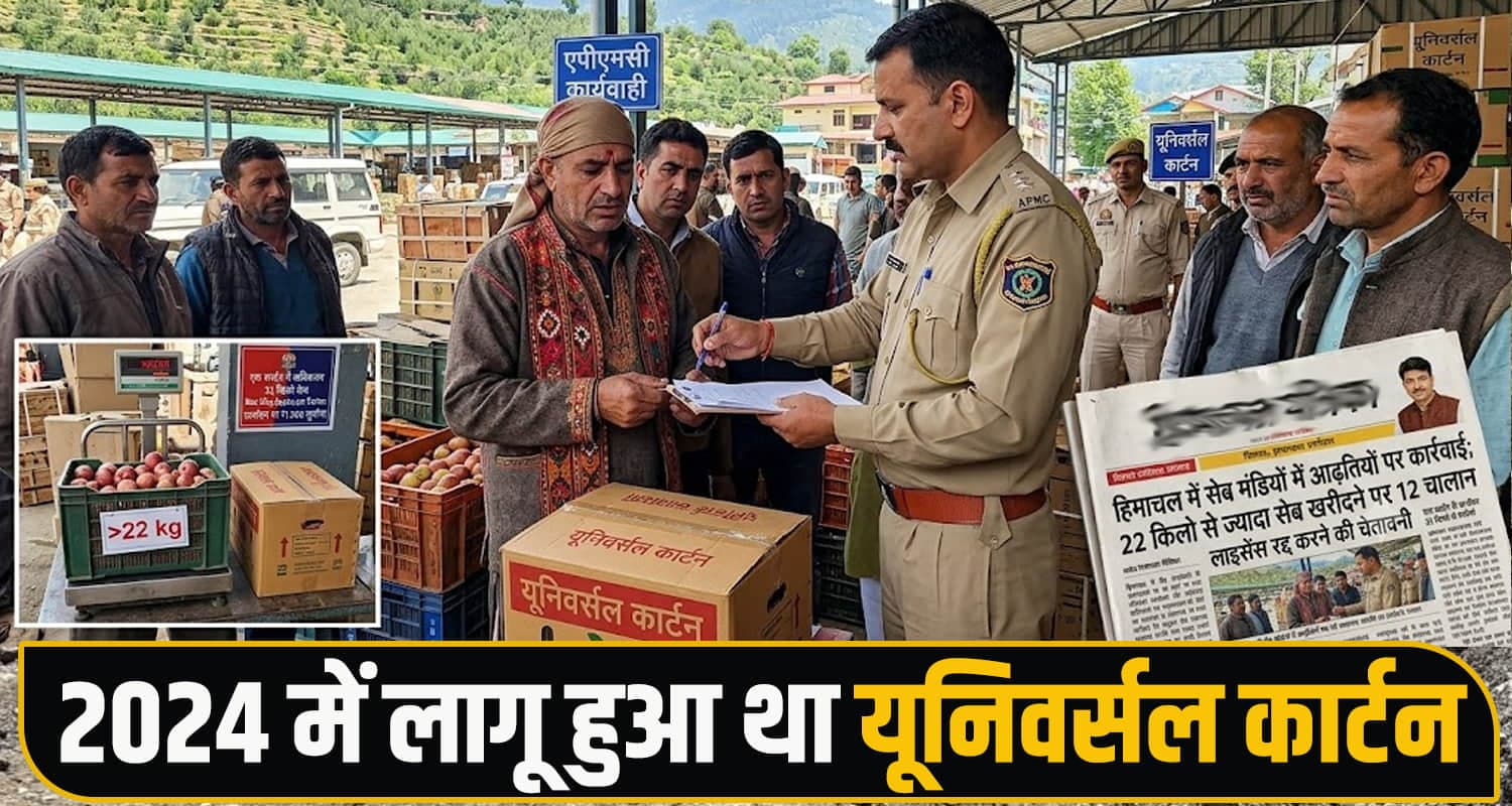 सेब मंडियों में आढ़ितयों की मनमानी : APMC ने 12 के काटे चालान, लाइसेंस रद्द करने की दी चेतावनी Universal Carton Apple Growers