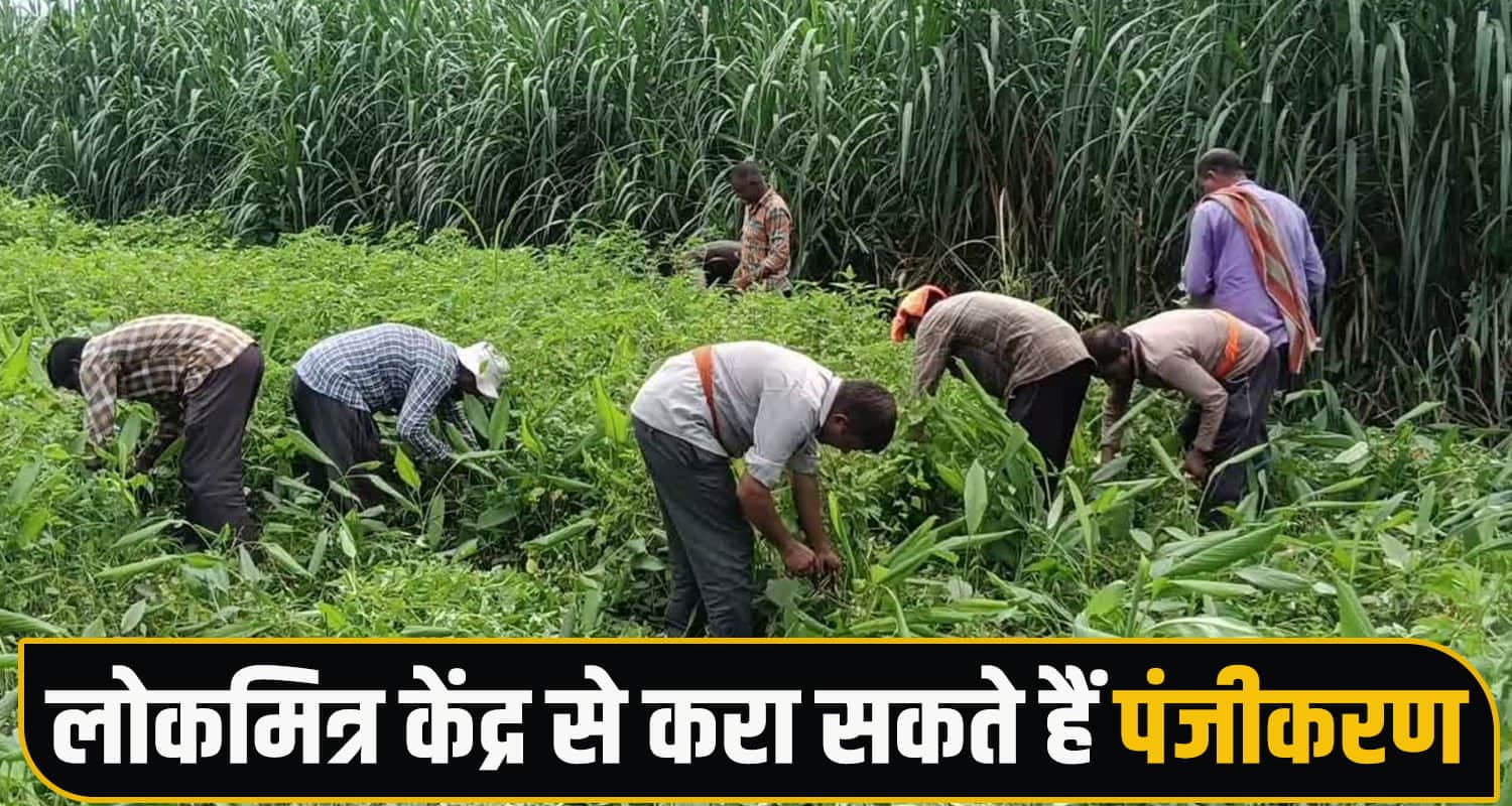 हिमाचल के किसानों के लिए बड़ी खबर- 30 सितंबर से पहले कर लें ये काम, वरना छूट जाएगा सरकारी लाभ Farmer ID Agriculture Horticulture