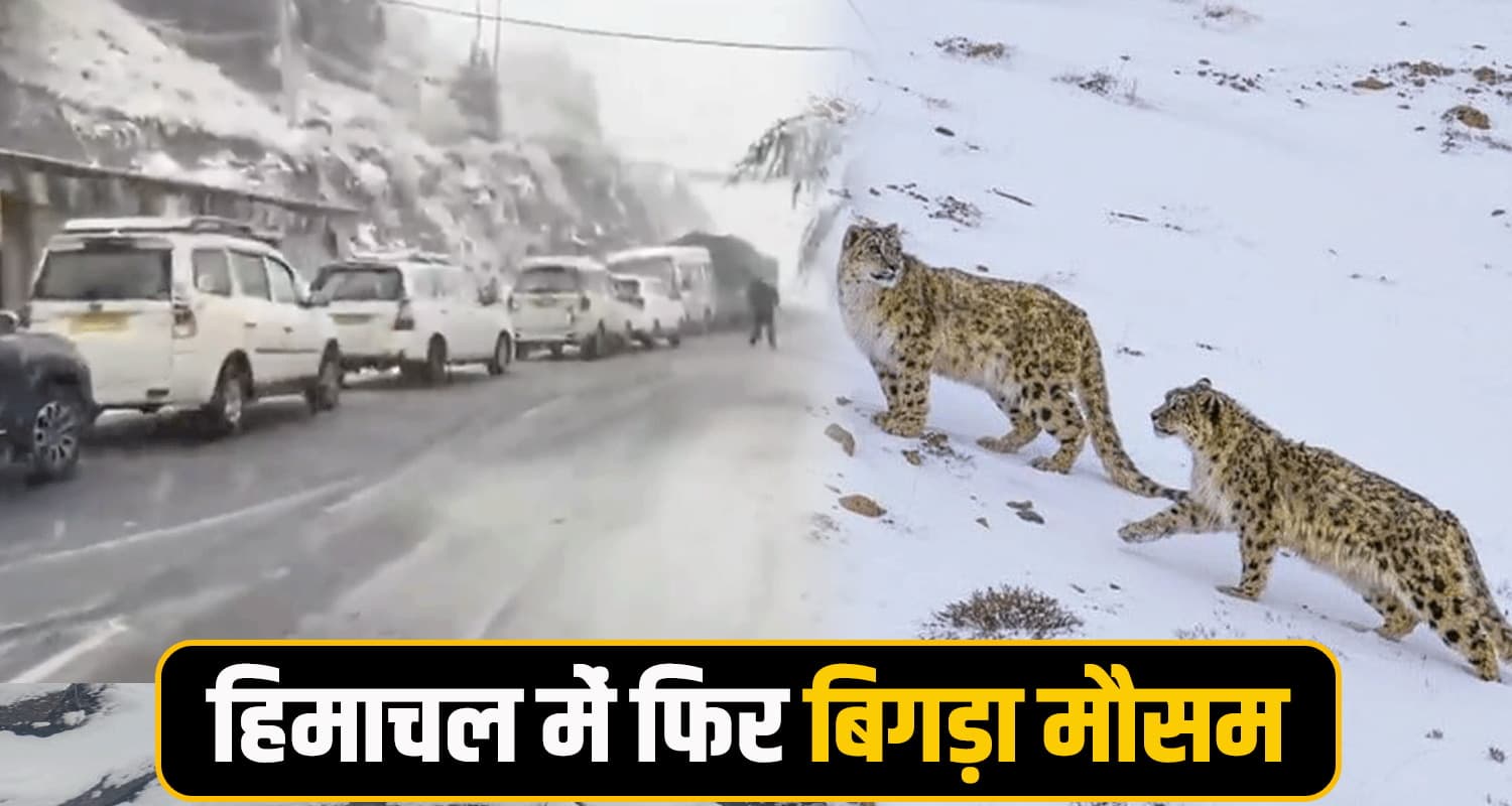 हिमाचल में बर्फबारी से थमी रफ्तार : कई वाहन बंद सड़कों पर फंसे, यात्रियों की परेशनियां बढ़ी Himachal Weather