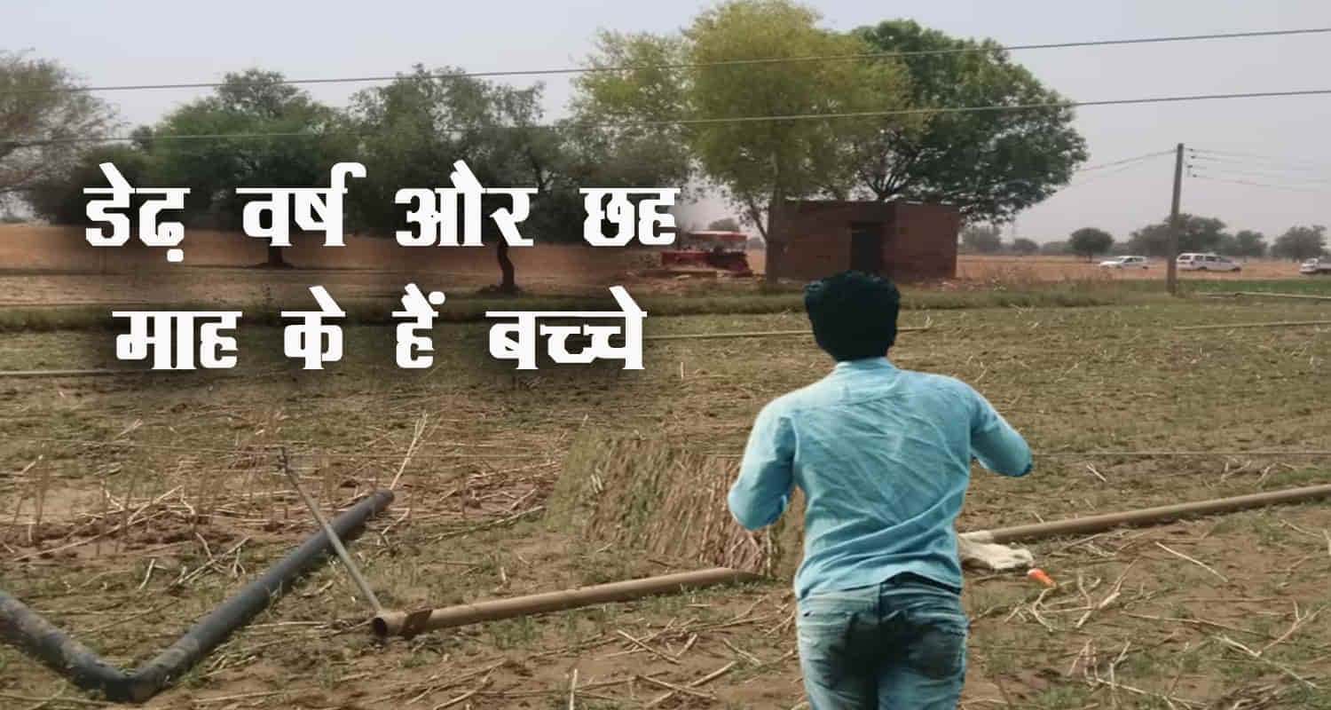 चंबा: हाई वोल्टेज करंट से झुलसे 24 वर्षीय युवक की काटनी पड़ी बाजू Himachal chamba youth got electrocuted fields arm amputated