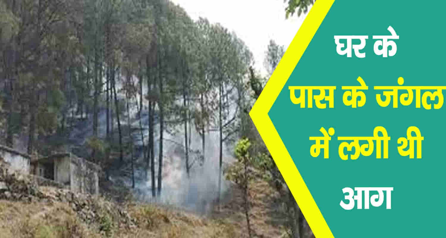 हमीरपुर: जंगल की आग से दम घुटने पर महिला की मौत, कई परिवार बेघर Himachal hamirpur forest burnt woman suffocation difficulty breathing
