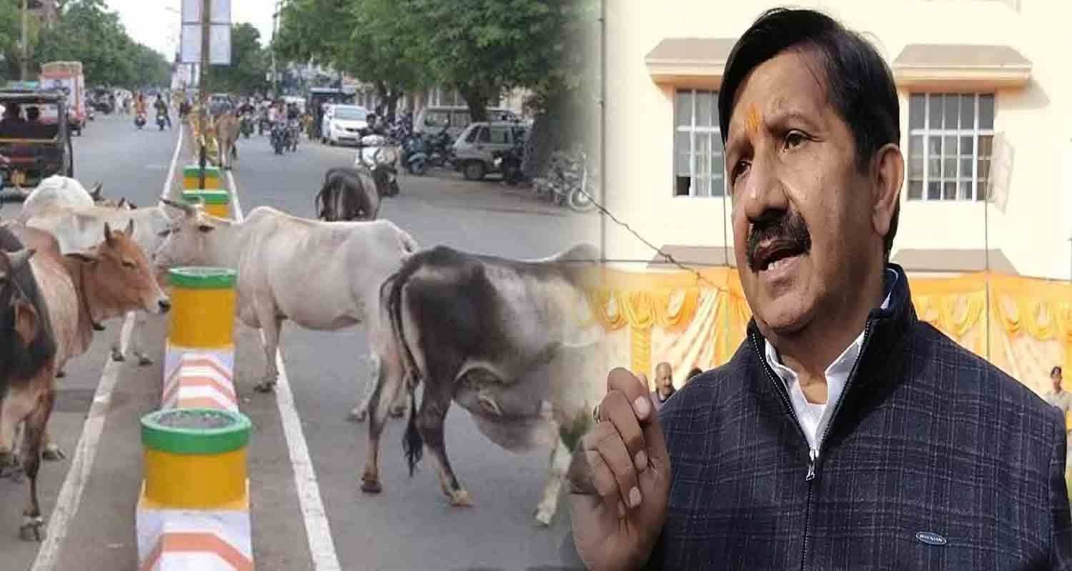 ऊना: नील गाय से टकराई बाइक, युवक की दर्दनाक मौत, परिवार सदमे में
Boy bike slip cow haroli una