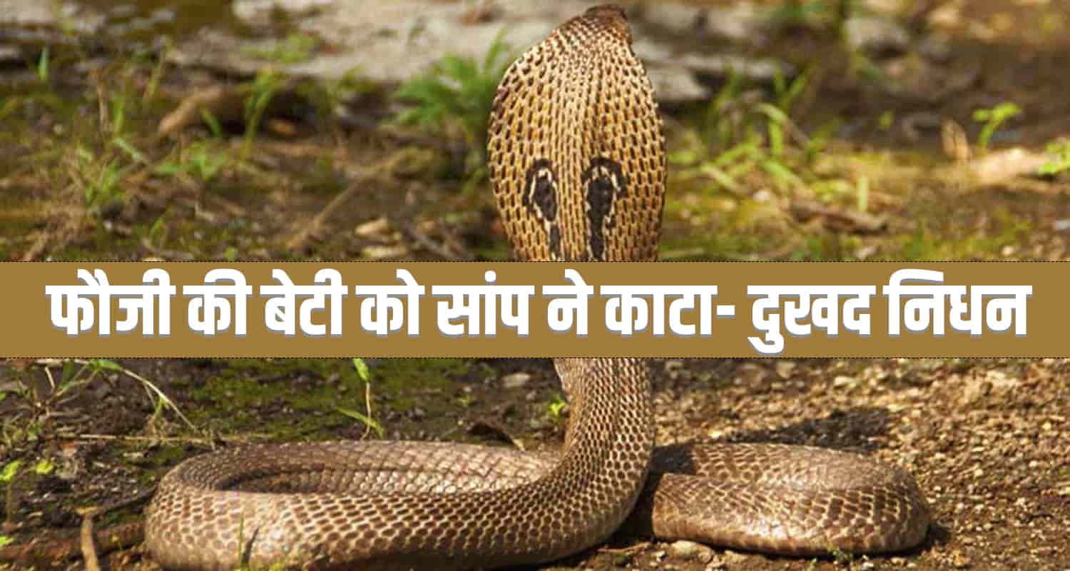 सुबाथू: सांप के काटने से 8 वर्षीय बच्ची की मौत, इलाज में देरी बनी कारण
Himachal snake bite solan treatment hospital cantonment