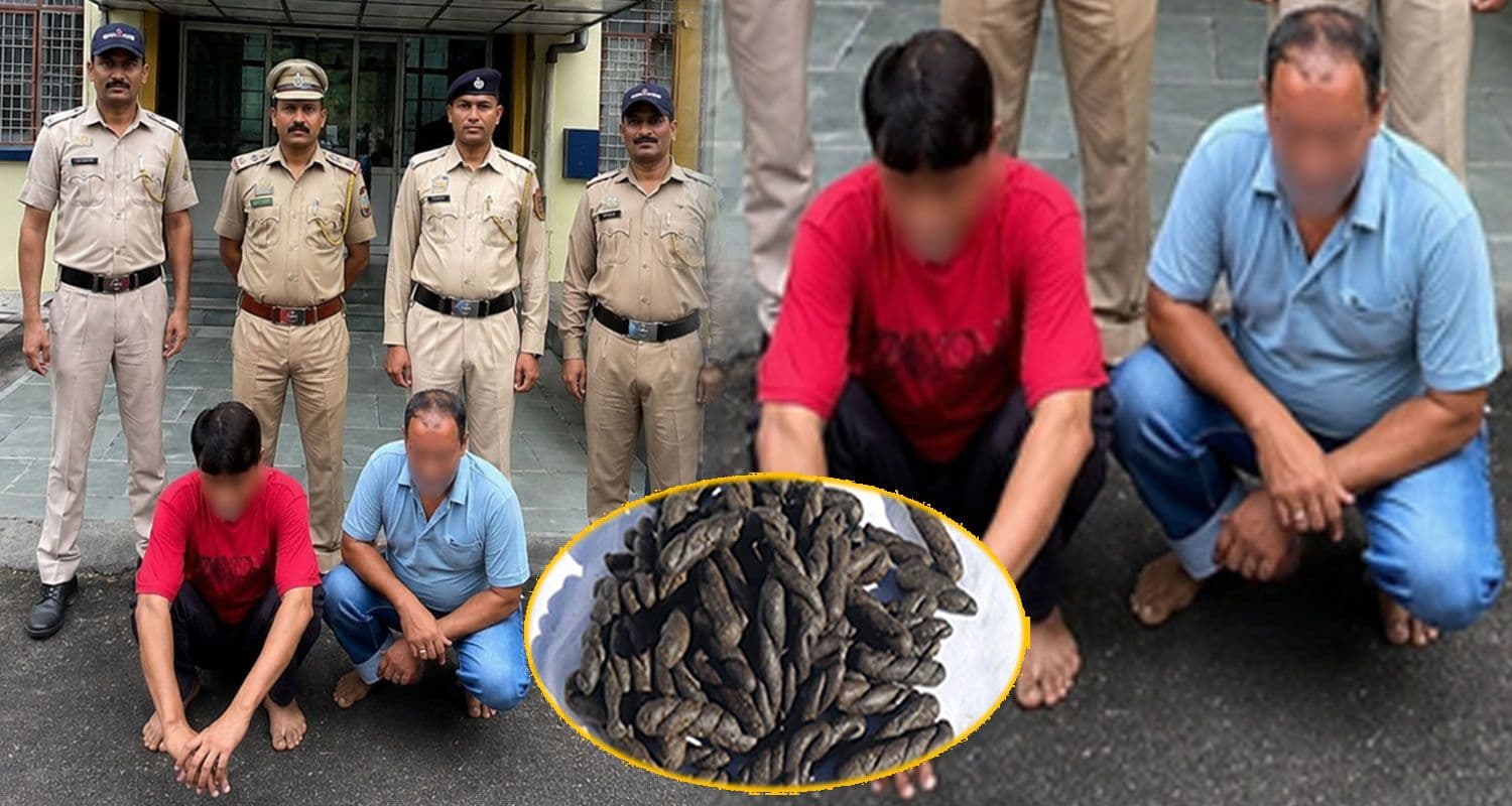 हिमाचल : वॉल्वो बस में सवारी से मिली लाखों की चरस, साथी के साथ निकला था डील करने charas smuggler two men volvo bus mandi himachal police