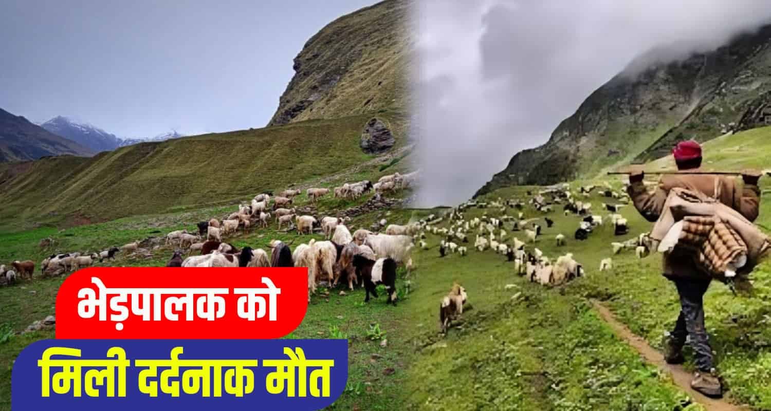 हिमाचल: भेड़ चराते वक्त खाई में गिरे हिम्मत सिंह, 69 साल थी उम्र himachal news