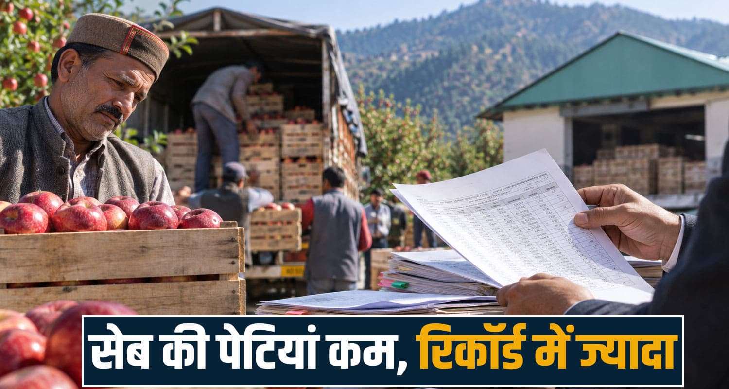 हिमाचल में 20 करोड़ की गड़बड़ी : सेब खरीद में बड़ा खेल- रिकॉर्ड ने खोली पोल, घेरे में HPMC apple procurement scam mis scheme hpmc mandi himachal government