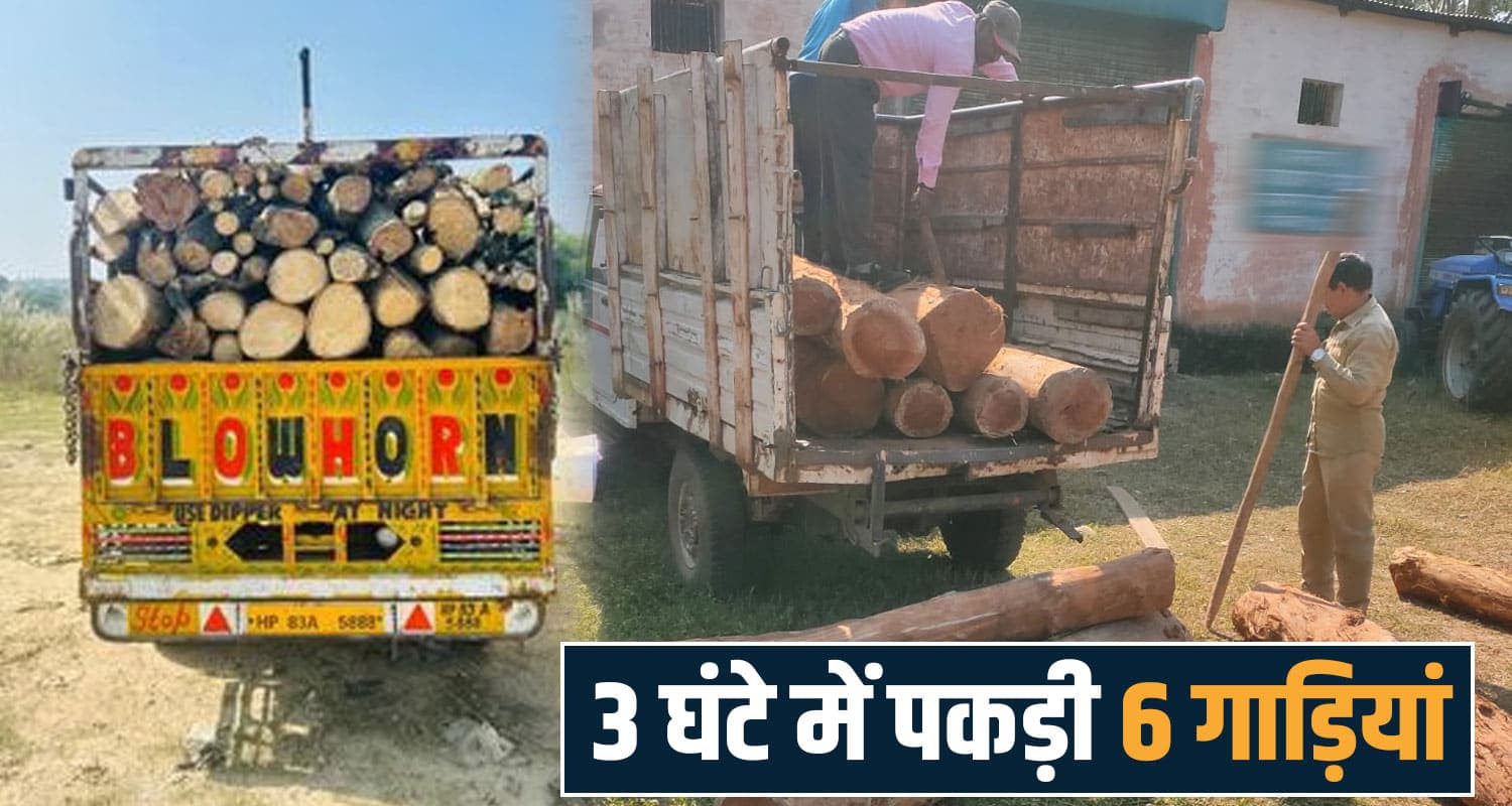 हिमाचल में लकड़ी तस्करी का भंडाफोड़- 6 गाड़ियों में ढोया जा रहा था करोड़ों का माल, विभाग ने धरे illegal timber smuggling