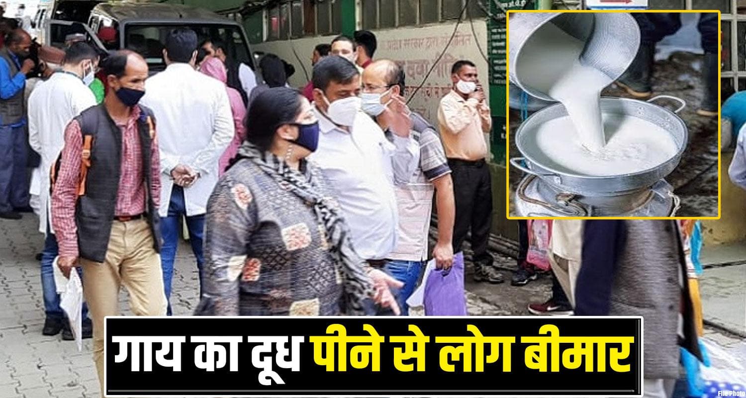 हिमाचल : गाय का दूध पीने से लोगों की हुई बुरी हालत - 17 पहुंचे अस्पताल, जानें क्या है पूरा मामला Solan School Teachers Hospitalised