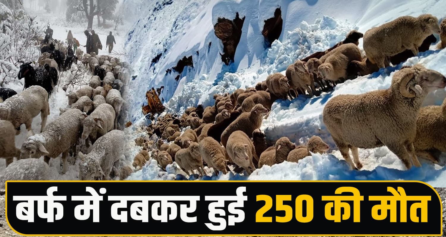 हिमाचल में बर्फबारी का कहर : हिमस्खलन की चपेट में आने से एक साथ निकले, 250 के प्राण- जानें Chamba Avalanche