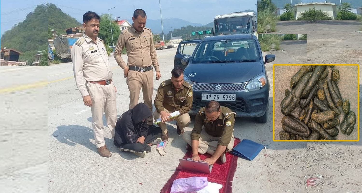 हिमाचल: अमीर बनने के शॉर्टकट ने पहुंचाया जेल, 25 वर्षीय युवक नशे की खेप संग धरा Drug Free Himachal