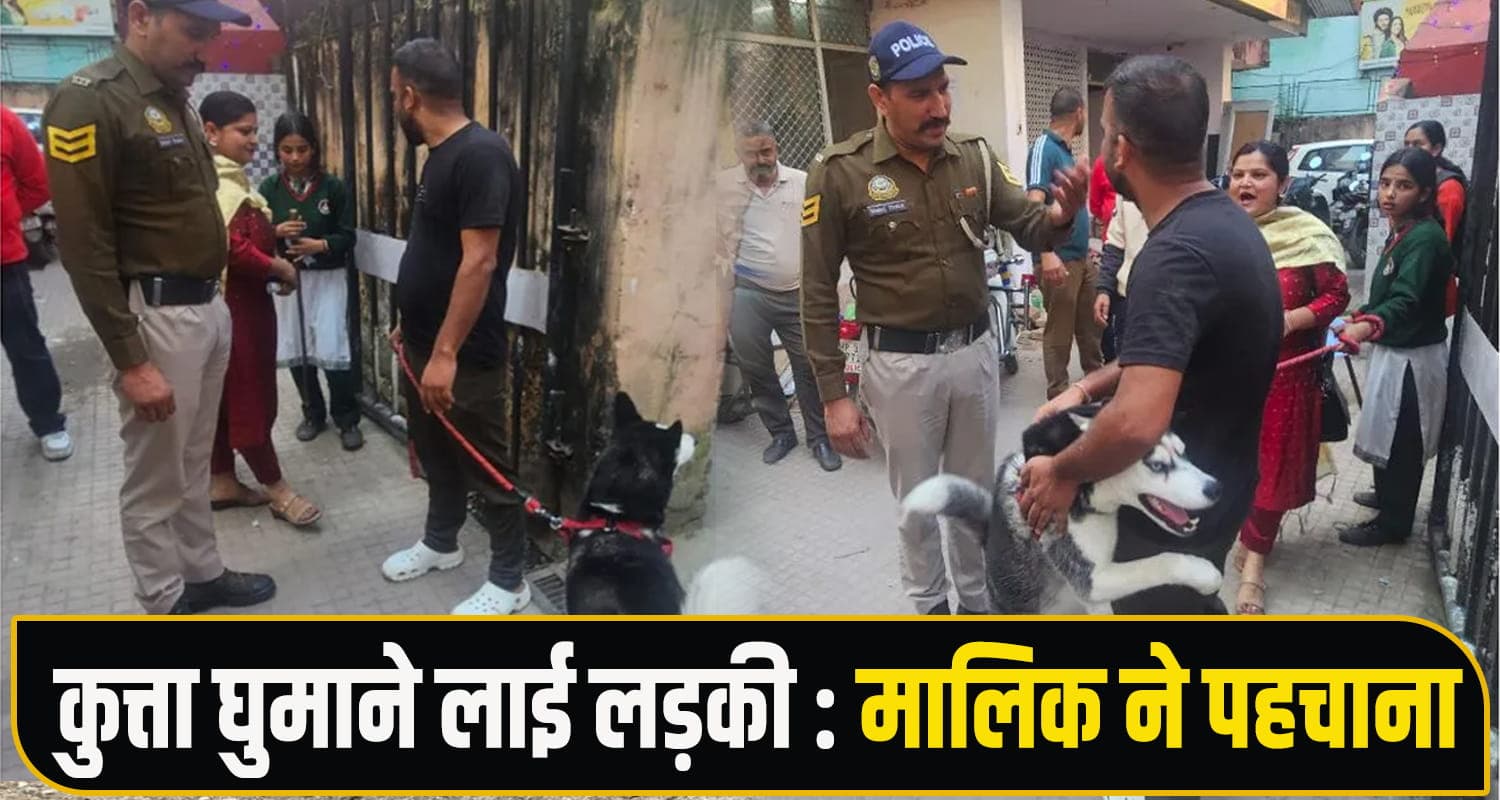 हिमाचल : एक कुत्ते के दो-दो मालिक, असली कौन? बुलानी पड़ी पुलिस Husky Dog Reunion